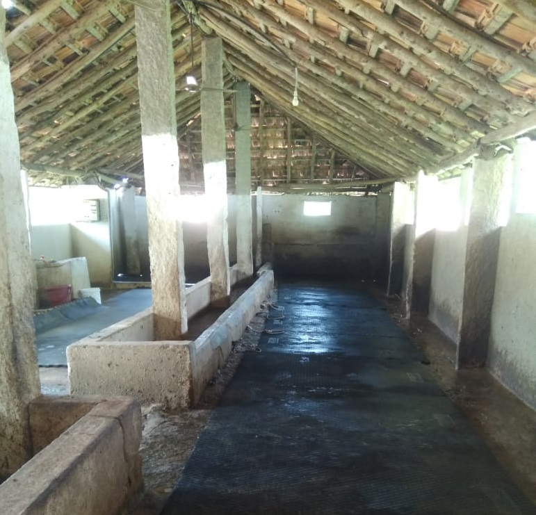 godana