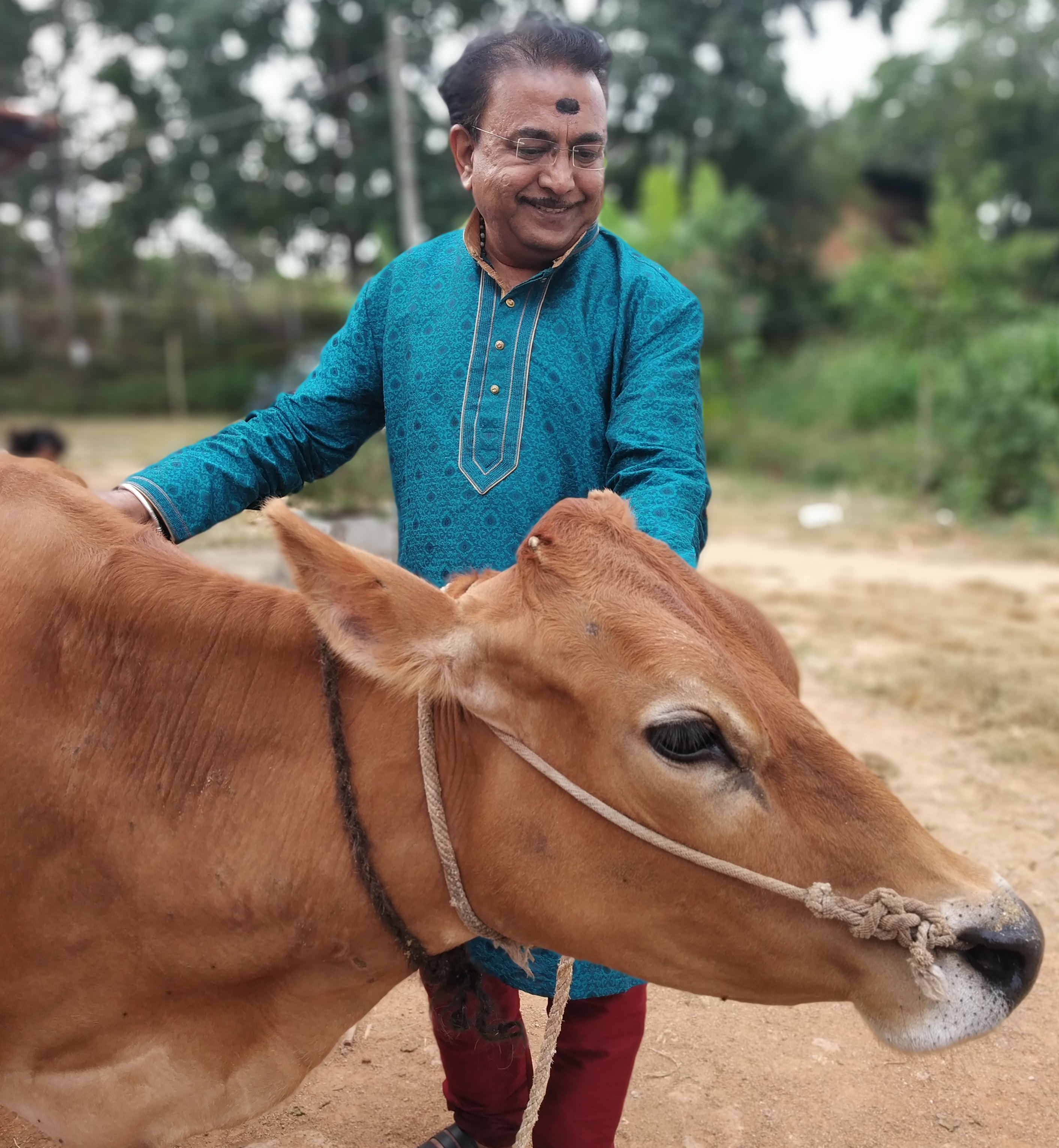 adopt a cow for lifetime